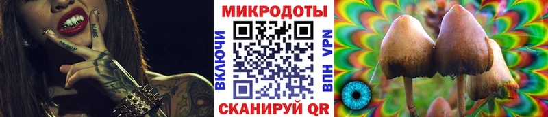 закладка OMG маркетплейс даркнет клад Камбарка Псилоцибиновые грибы Psilocybe